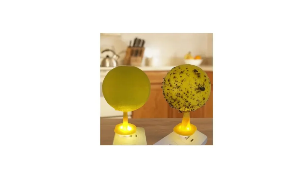 VIVITO USB Fly Trap Balls Price – LED Fly Catcher for Home